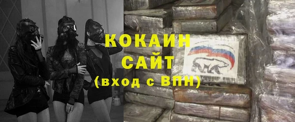 гидра Михайловка