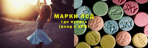 гидра Михайловка