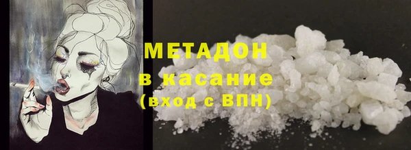 гидра Михайловка