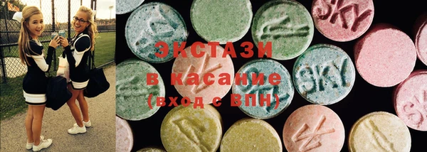 гидра Михайловка