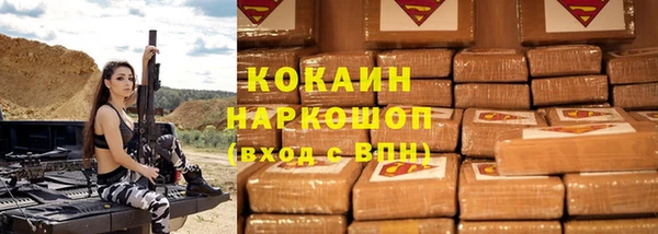 гидра Михайловка
