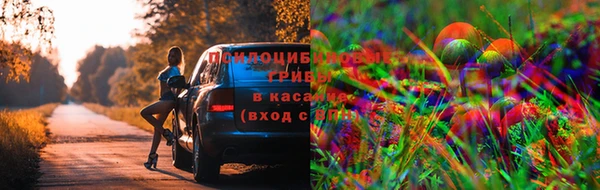 скорость Михайлов