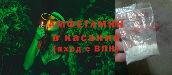 гидра Михайловка
